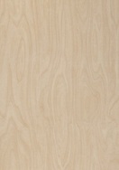 Melteca Standard Raw Birchply Woodgrain