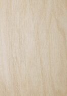 Melteca Melamine Raw Birchply Organic