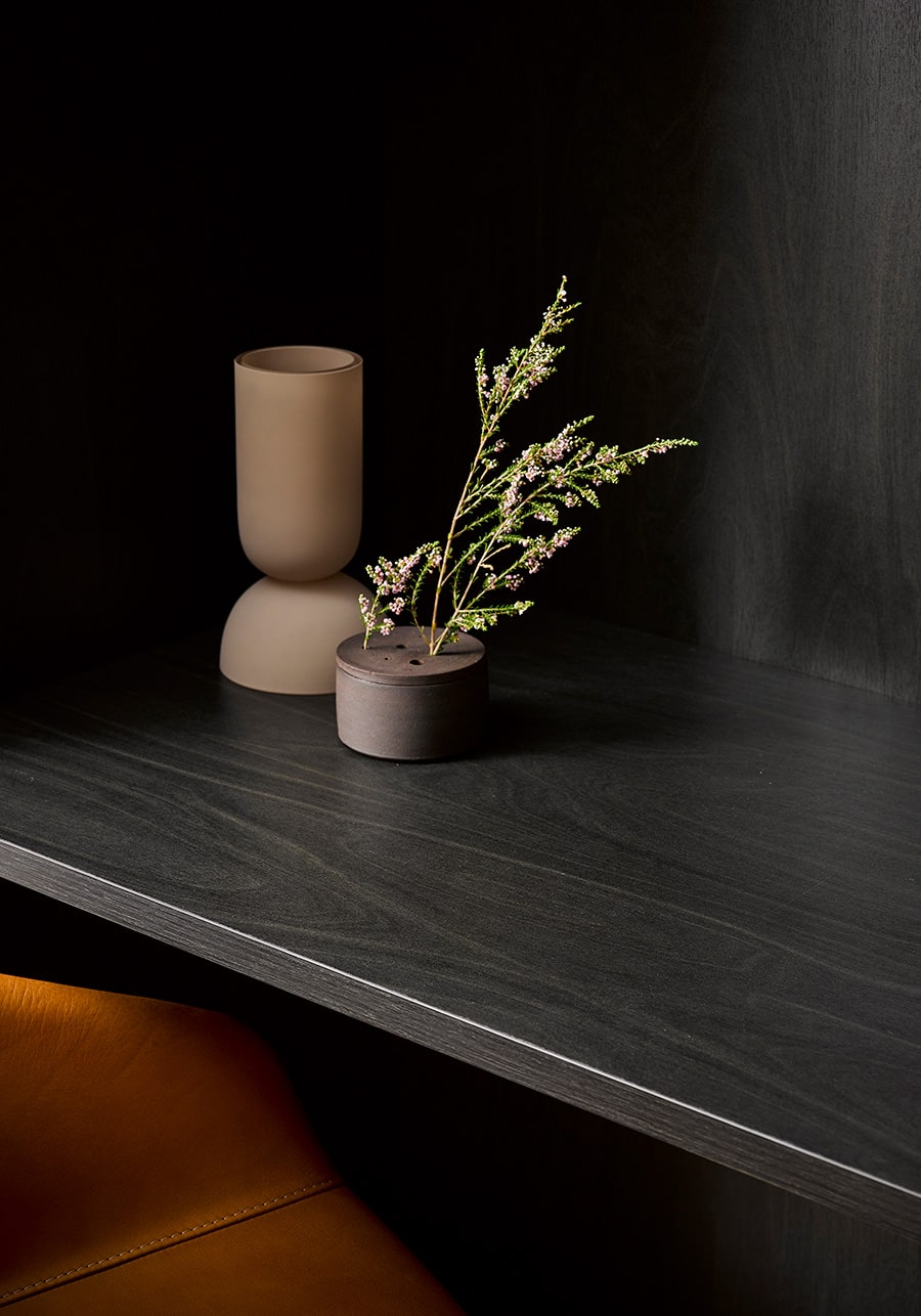 Melteca-Black-Birchply-Desk